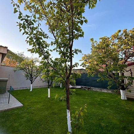 קונסטנצה Casa Verde מראה חיצוני תמונה