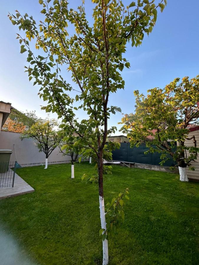 קונסטנצה Casa Verde מראה חיצוני תמונה